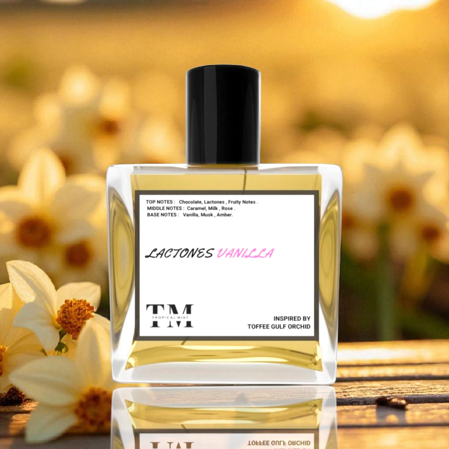 Lactonis vanilla - Inspired by Toffee Gulf Orchid